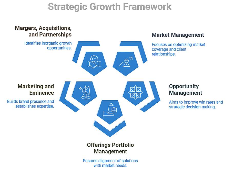 A strategic growth framework with six key focus areas arranged in a hexagon.